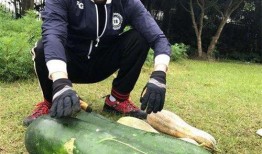 任县新瓜最新爆料,揭秘任县最新热点事件背后的真相