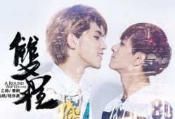 《双程》电影在线观看,穿梭时空的浪漫冒险，一场跨越生死的爱情之旅